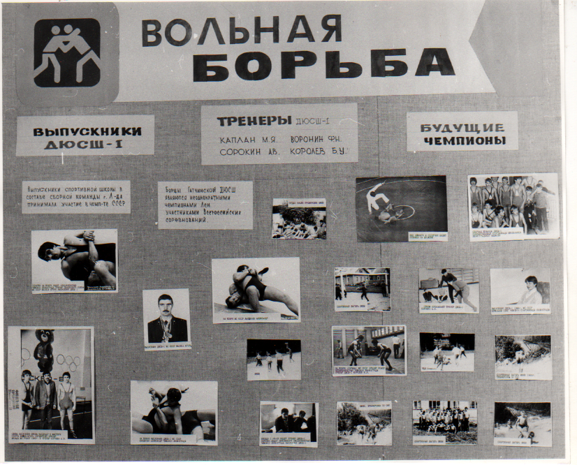 вольная борьба