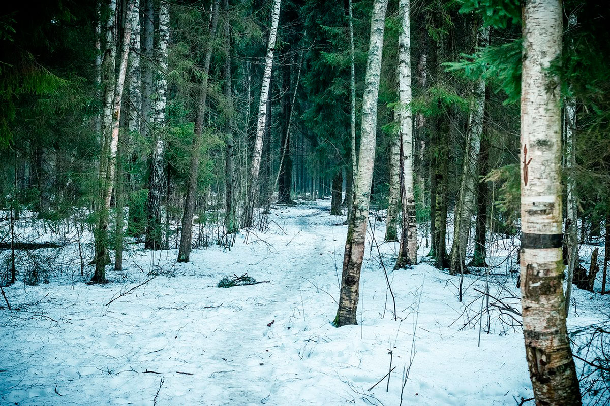 Фото с марафона